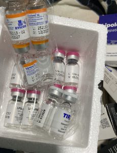 Pedido recebido por Monica